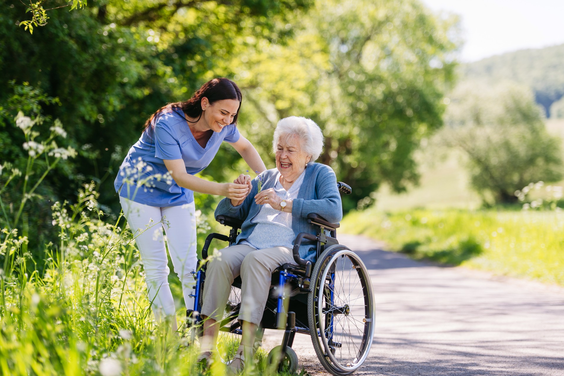 Female caregiver and senior woman in wheelchair picking wild flowers. Nurse and elderly woman enjoying a warm day in nursing home, public park.